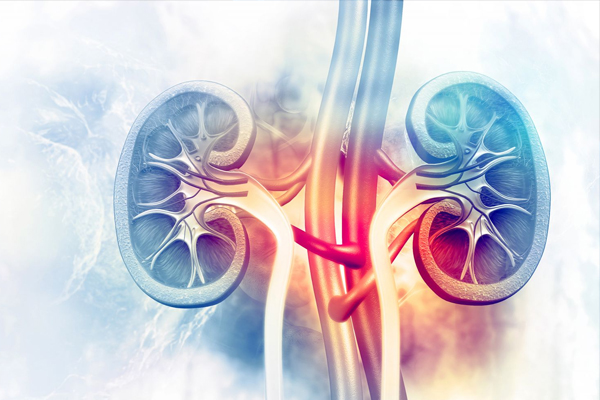 Management Of Kidney Problems