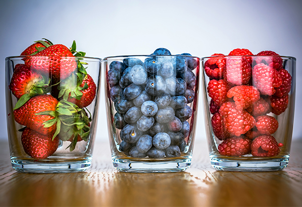 Phyto Nutrients