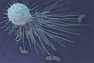 Macrophage fighting bacteria