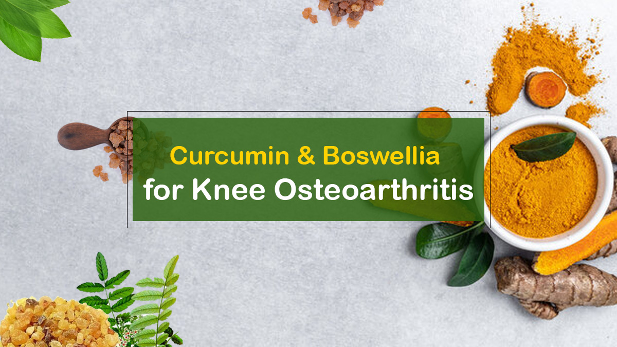 Curcumin & Boswellia for Knee Osteoarthritis The Amazing Benefits Dr